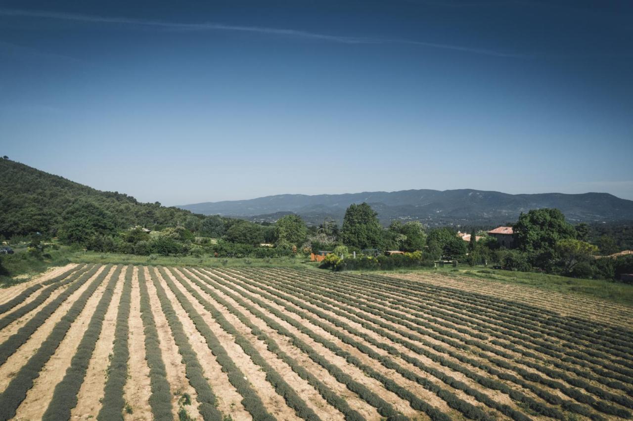 Studio Sud Luberon Grambois Bagian luar foto
