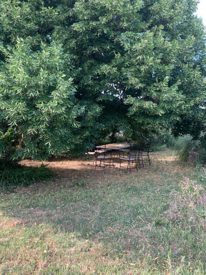 Studio Sud Luberon Grambois Bagian luar foto